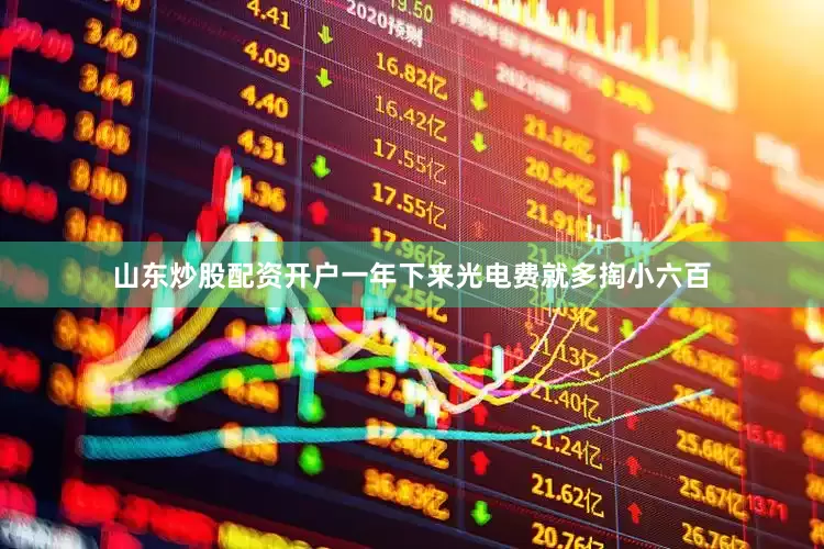 山东炒股配资开户一年下来光电费就多掏小六百
