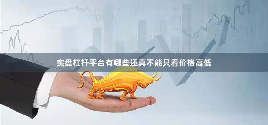 实盘杠杆平台有哪些还真不能只看价格高低